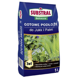 Podłoże Substral Osmocote ziemia do palm i jukk 5l