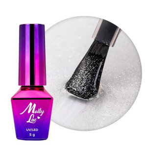 Top no wipe Hollywood MollyLac Silver z srebrnymi drobinkami 5g