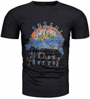 Męska Koszulka T-shirt Kolory - 3xl