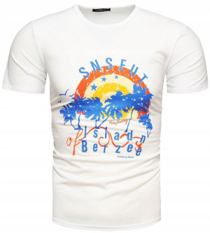 Męska Koszulka T-shirt Kolory - 3xl