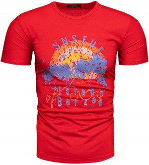 Męska Koszulka T-shirt Kolory - Xxl