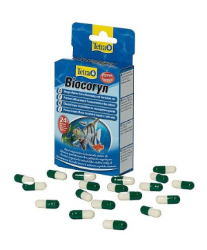 Tetra Biocoryn 24 tabletki - Szczepy bakterii z niezbędnymi enzymami
