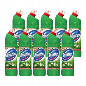 Płyn WC Żel toalet DOMESTOS 24H zielony 10x 750ml