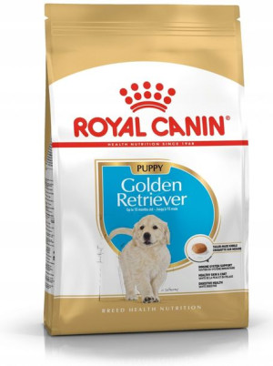 Royal Golden Retriever Puppy 3kg