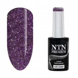 NTN lakier hybrydowy do paznokci kolor UV LED 19