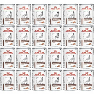 Royal Canin Vet Gastro Intestinal Low Fat 24x410G