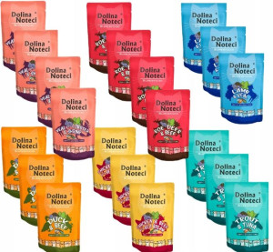 DOLINA NOTECI SUPERFOOD dla kota MIX SMAKÓW 20x85g