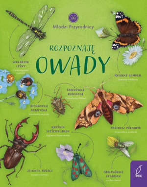 Młodzi Przyrodnicy Rozpoznaję Owady Książka Wilga