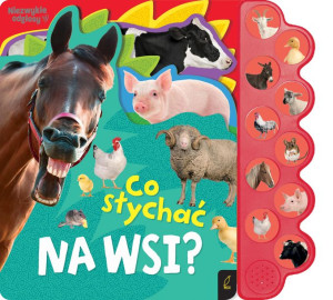 Co Słychać Na Wsi Opracowanie Zbiorowe Książka
