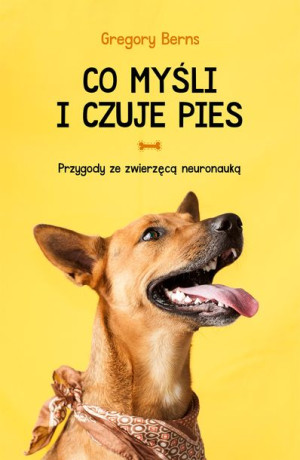 Co Myśli I Czuje Pies Przygody Ze Zwierzęcą Neuron