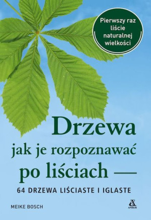 Drzewa Jak Je Rozpoznawać Po Liściach Bosch Meike