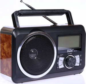 Przenośny Odbiornik Radiowy Radio Dartel Rd-20