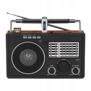 Radio Przenośne Dartel Rd-70 Mp3 Fm Sd Ciemny Brąz