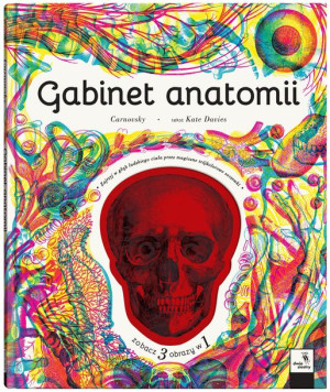 Gabinet Anatomii Davies Kate Książka Dwie Siostry