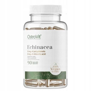 Jeżówka Purpurowa VEGE 90 k. ECHINACEA, ODPORNOŚĆ