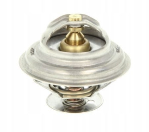 Thermotec D2pe004tt Termostat Cieczy