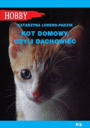 Kot Domowy Czyli Dachowiec Lorens Padzik Katarzyna