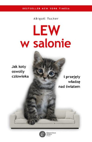 Lew W Salonie Jak Koty Oswoiły Człowieka I Przejęł