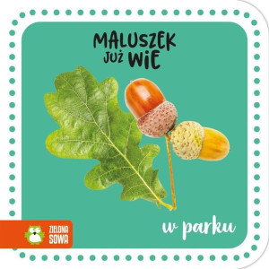 Maluszek Już Wie W Parku Praca Zbiorowa Książka