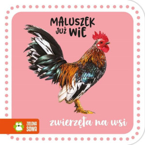 Maluszek Już Wie Zwierzęta Na Wsi Praca Zbiorowa
