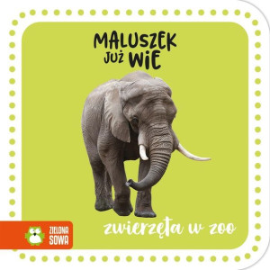 Maluszek Już Wie Zwierzęta W Zoo Praca Zbiorowa