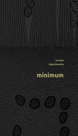 Minimum Zajączkowska Urszula Książka Warstwy