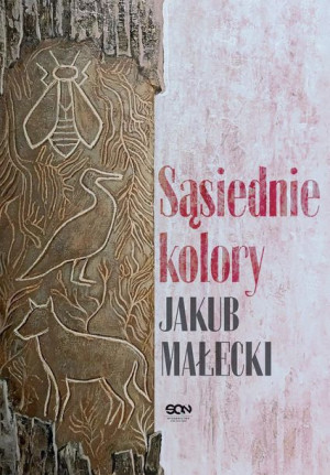 Sąsiednie Kolory Małecki Jakub Książka