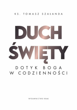 Duch Święty Dotyk Boga W Codzienności Książka Wam