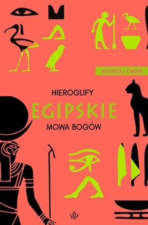 Hieroglify Egipskie Wyd 3 Ćwiek Andrzej Książka