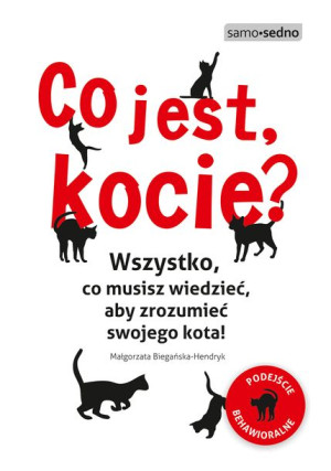 Co Jest Kocie Wszystko Co Musisz Wiedzieć Aby Zroz