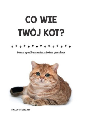 Co Wie Twój Kot Poznaj Sposób Rozumienia Świata Pr