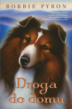 Droga Do Domu Pyron Bobby Książka Bis