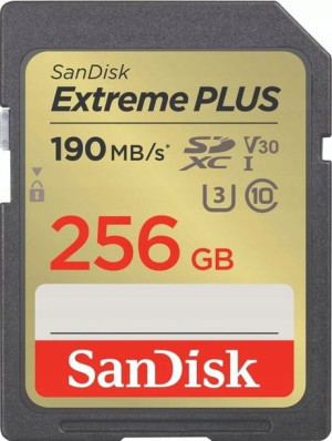 Karta pamięci SanDisk Extreme Plus 256GB SDSDXWV