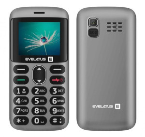 Evelatus ARON 2020 DS (EA02SG) Intergalactic Silve