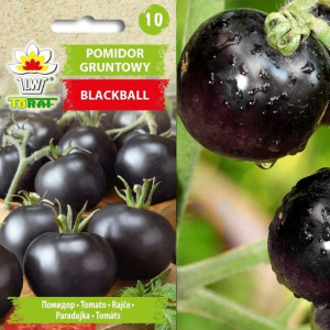 Pomidor Gruntowy Blackball nasiona warzyw plenne