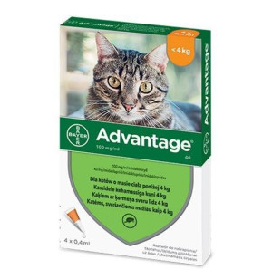 BAYER ADVANTAGE KOT roztwór na pchły 0,4ml x 4 kot do 4kg