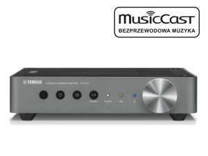 Yamaha WXA-50 MusicCast Odtwarzacz Sieciowy Autoryzowany Dealer