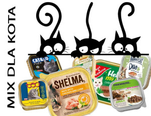 Mokra karma dla kota mix smaków