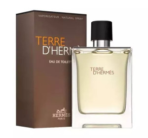HERMÈS Terre d’Hermès Woda toaletowa 100 ml z Niemiec