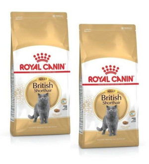 Royal Canin Adult British Shorthair 2x 2 kg - sucha karma dla dorosłych kot