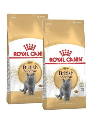 Royal Canin British Shorthair Adult 2 x 4 kg - sucha karma dla dorosłych ko