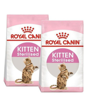 Royal Canin Second Age Kitten Sterilised 2x2 kg - sucha karma dla kociąt po