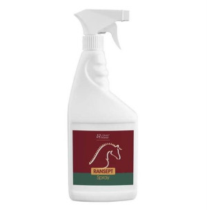 RANSEPT Spray 500 ml - preparat wspomagający naturalny proces odbudowy uszk