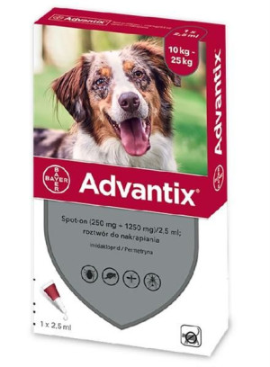 BAYER ADVANTIX SPOT ON roztwór na pchły i kleszcze 4x2,5ml pies 10-25kg