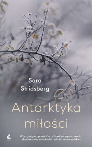 Antarktyka Miłości Stridsberg Sara Książka