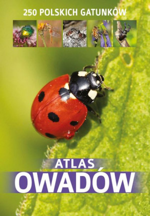 Atlas Owadów Dodruk 2022 Książka Sbm
