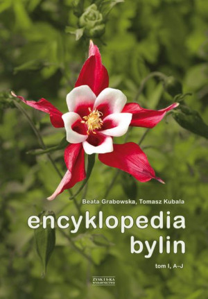 Encyklopedia Bylin Tom 1 A J Książka Zysk I S Ka