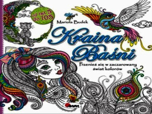 Kraina Baśni Budek Mariola Książka