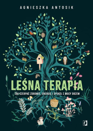 Leśna Terapia Jak Czerpać Zdrowie Energię I Spokój