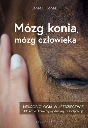Mózg Konia Mózg Człowieka Neurobiologia W Książka
